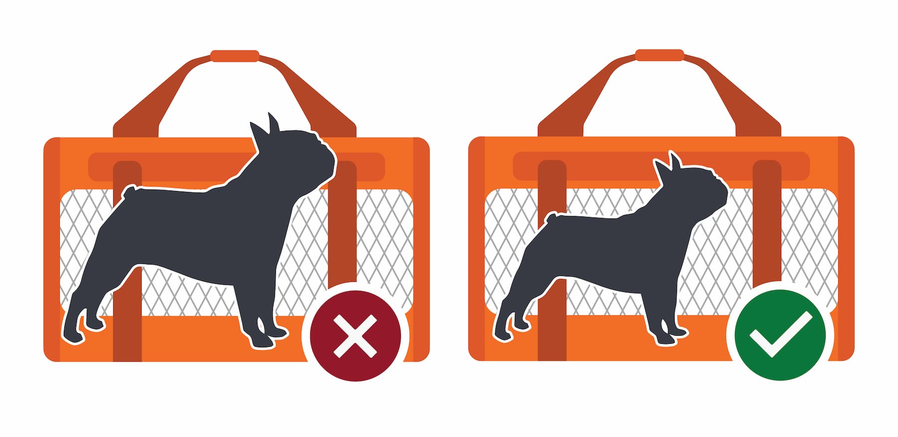 The pet should fit into the kennel with no parts extending out.